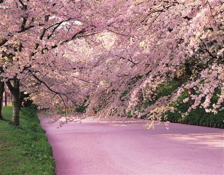 弘前公園